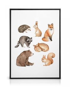 an animal print with different types of animals on the front and back of it's frame