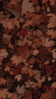 many different colored leaves are scattered on the ground in this photo, including brown and red