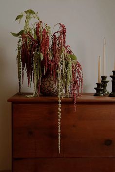 a wooden dresser topped with a vase filled with plants