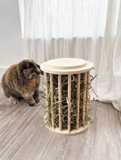 a cat sitting on the floor next to a basket with hay in it