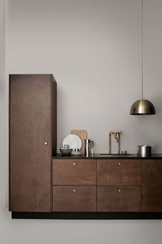 a modern kitchen with wooden cabinets and stainless steel accessories on the countertop, along with a gold pendant light