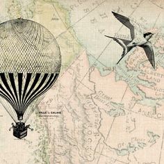 a bird flying over a map with a hot air balloon