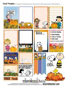 a poster with peanuts and pumpkins on it's sides, including an image of charlie