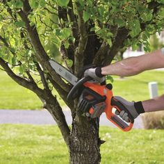 a man is trimming a tree with a chainsaw