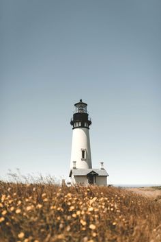 a light house sitting on top of a lush green field next to tall dry grass