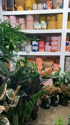 the shelves are filled with potted plants and other decorative items