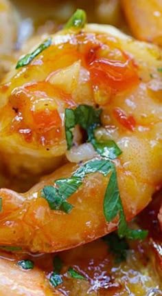 closeup of cooked shrimp with tomato sauce and parsley