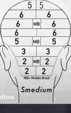 Braids Mapping, Braiding Map, Parting Mapping, Braid Chart, Small Parting Chart For Braids, Hair Parting Techniques For Braids, Braid Map, Parting Maps For Braids