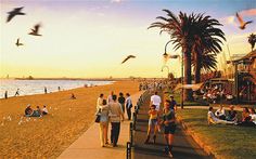 many people are walking on the beach near the water and seagulls flying around