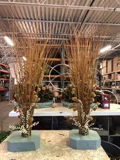 two vases with dried flowers on top of a table in a room filled with shelves