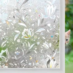 a cat sitting in front of a frosted window with flowers and leaves on it