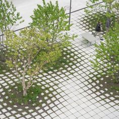 an aerial view of trees and benches in a park