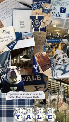 the collage shows many different things in blue and white