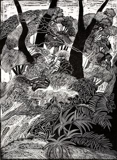 a black and white drawing of trees in the woods