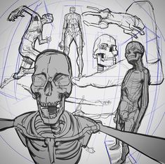 a drawing of a human skeleton surrounded by other human figures