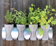 four planters with herbs in them sitting on a shelf