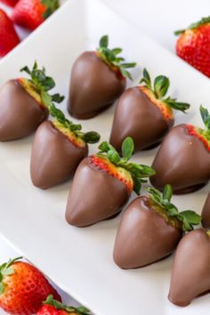 chocolate covered strawberries are arranged on a white plate