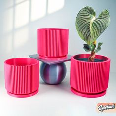 three pink planters sitting next to each other on top of a white countertop