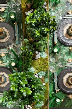 an overhead view of a table setting with plates and silverware on it, surrounded by greenery