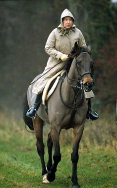 a man riding on the back of a brown horse in a field next to trees