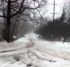 a road that is covered in snow next to trees