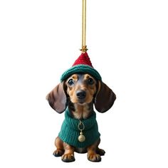 a dachshund dog wearing a green sweater and red hat hanging from a gold chain