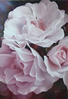 two pink roses are shown in this artistic photo