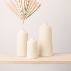 three white vases sitting on top of a wooden shelf next to a palm leaf