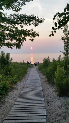 a wooden path leading to the ocean at sunset with people walking on it and trees in the foreground