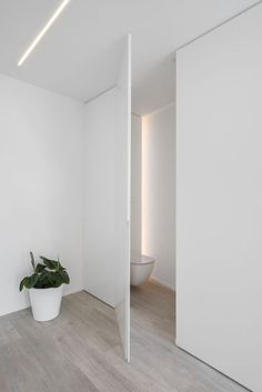 an empty white room with a potted plant in the corner