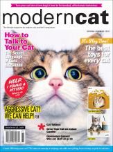 the front cover of modern cat magazine