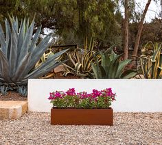 a planter filled with purple flowers sitting on top of a gravel ground next to a white wall