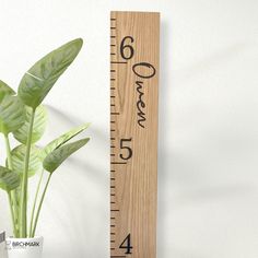 a wooden ruler with the measurements on it next to a potted plant