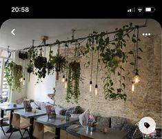 an indoor cafe with plants hanging from the ceiling