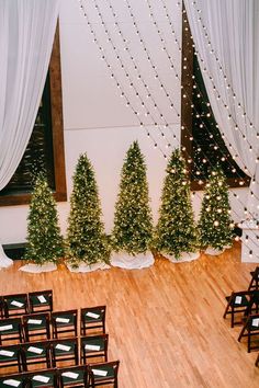 small christmas trees are lined up on the floor in front of rows of empty chairs