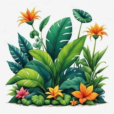 an illustration of tropical plants and flowers