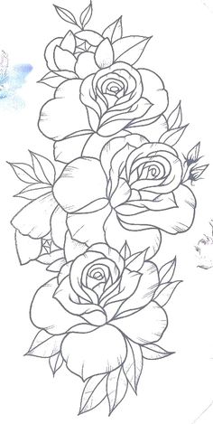 a line drawing of roses with leaves on the bottom and one flower in the middle