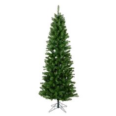 Choose from available sizesSlim, artificial pencil treePVC branch tips for a full lookUn-lit design invited customizationFor indoor use onlyLight_Color: Unlit Christmas Tree Without Lights, Pencil Pine, Slim Artificial Christmas Trees, Realistic Artificial Christmas Trees, Pine Christmas Tree, Pencil Christmas Tree, Wreaths And Garlands, Metal Tree, Artificial Tree