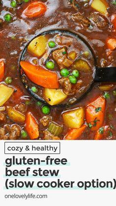 a spoon full of beef stew with carrots, peas and potatoes in it is featured on the cover of cozy & healthy gluten - free beef stew slow cooker option