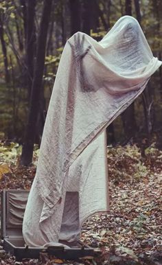 a blanket draped over an open suitcase in the woods