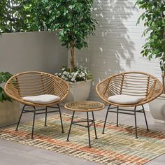 two wicker chairs sitting on top of a rug next to a potted plant