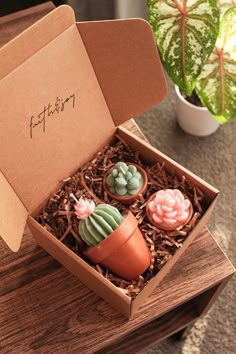 a box that has some plants inside of it