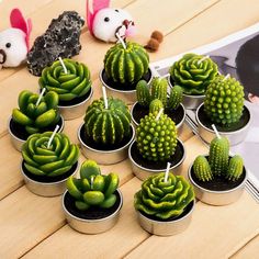 there are many small cactus plants in the pots on the table next to each other