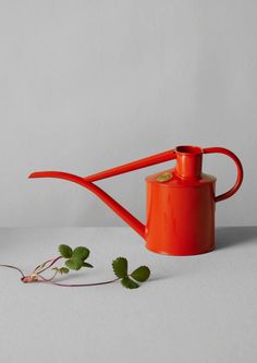 an orange watering can with a plant growing out of it's side on a white surface