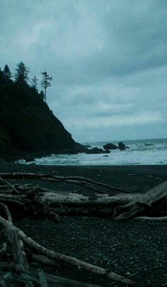 a person standing on a beach next to the ocean