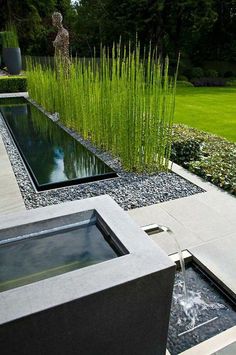 an outdoor garden with a water feature and grass in the back ground, surrounded by tall grasses