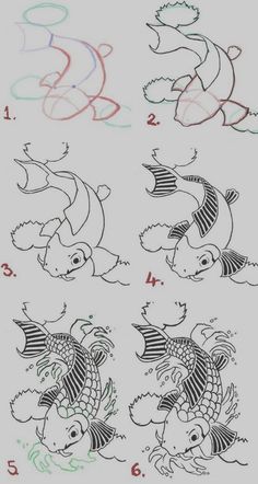 how to draw a koi fish step by step with pictures for kids and beginners