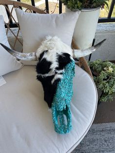 a cow skull is sitting on a chair