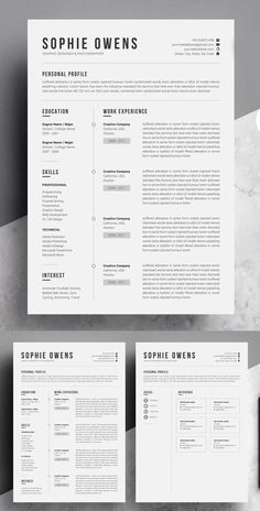 the professional resume template is ready to be used on any type of paper or computer