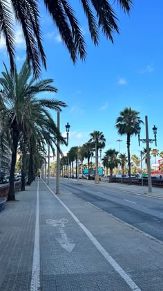 palm trees line the street on a sunny day